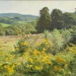 Hills and Goldenrod